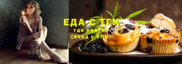 индика Гусь-Хрустальный