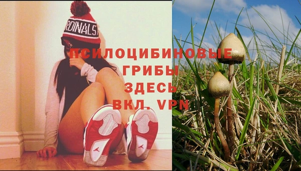 круглые Гусиноозёрск