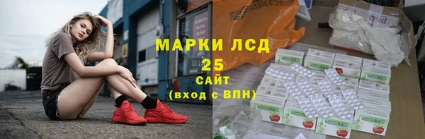 ECSTASY Гусев