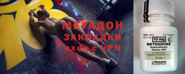 индика Гусь-Хрустальный