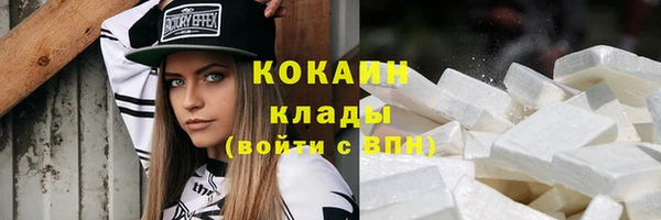 индика Гусь-Хрустальный