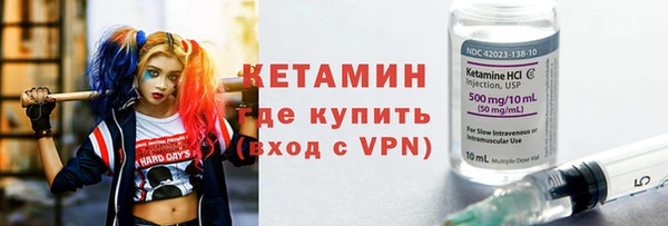 индика Гусь-Хрустальный
