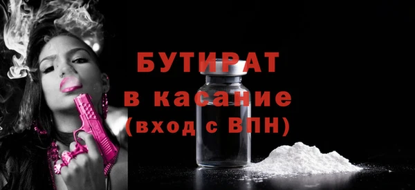 индика Гусь-Хрустальный