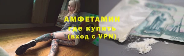 индика Гусь-Хрустальный