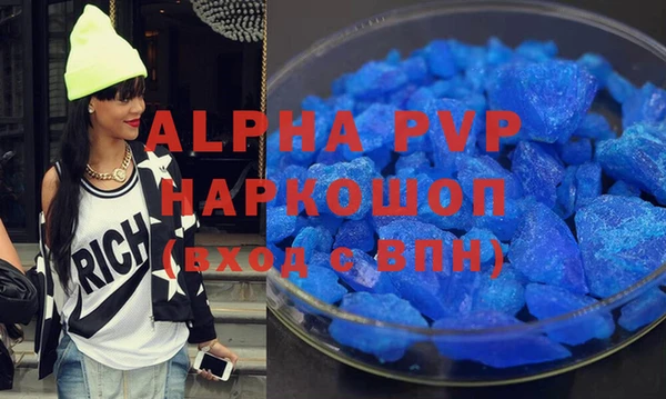 индика Гусь-Хрустальный
