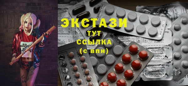 индика Гусь-Хрустальный