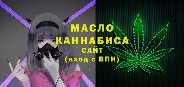 индика Гусь-Хрустальный