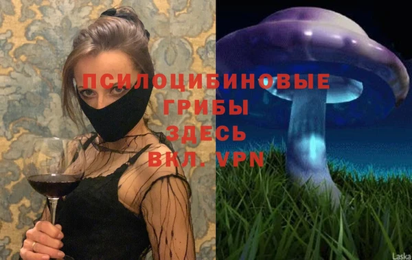 индика Гусь-Хрустальный