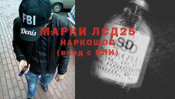 индика Гусь-Хрустальный