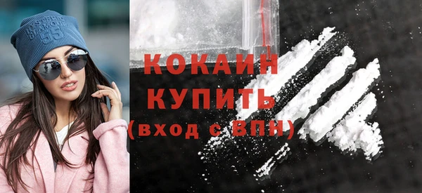 индика Гусь-Хрустальный