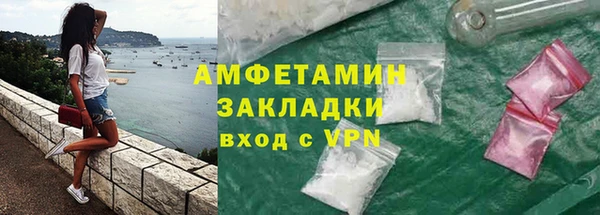 индика Гусь-Хрустальный