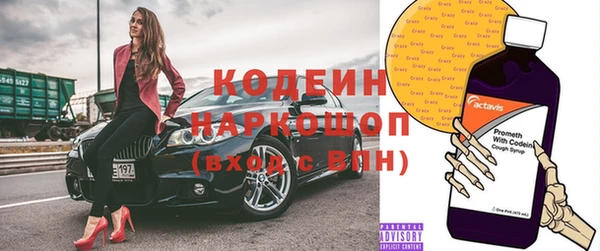 индика Гусь-Хрустальный
