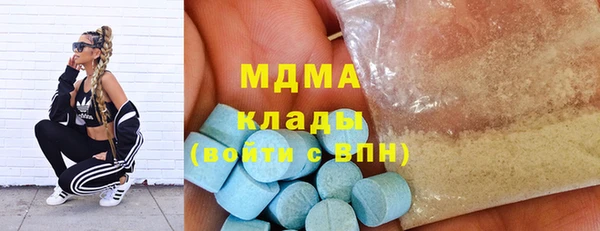 индика Гусь-Хрустальный