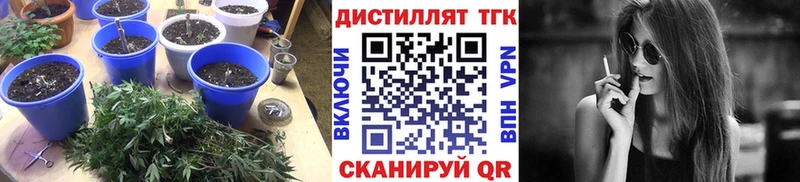 Купить  Краснознаменск  ТГК вейп 